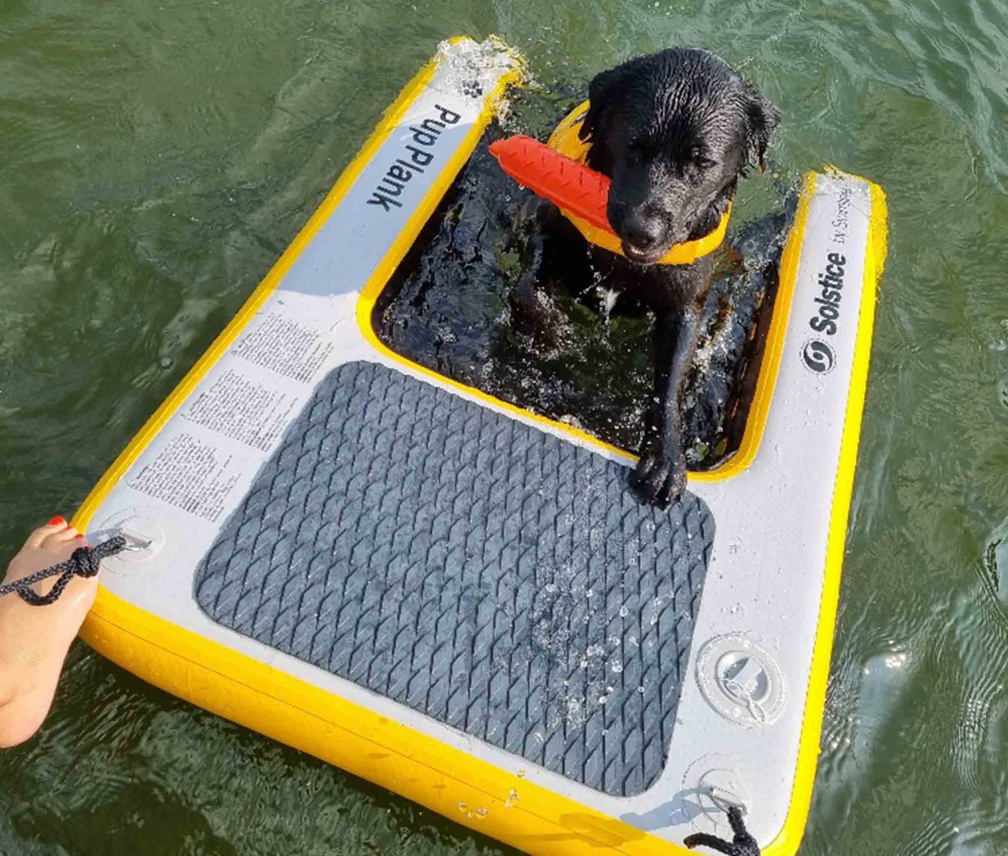 Inflatable Pup Planks