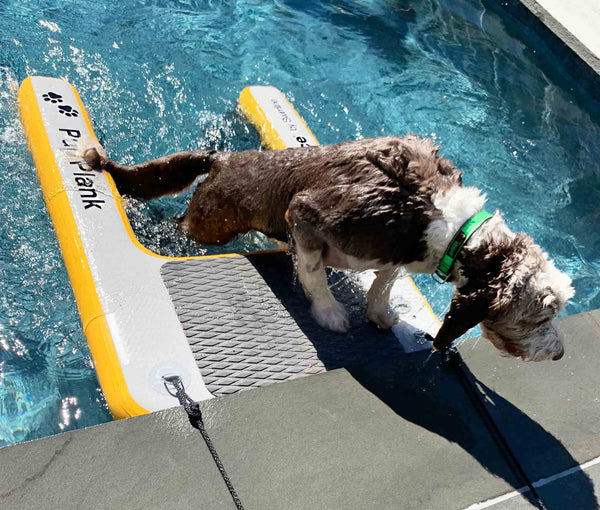 Inflatable Pup Planks